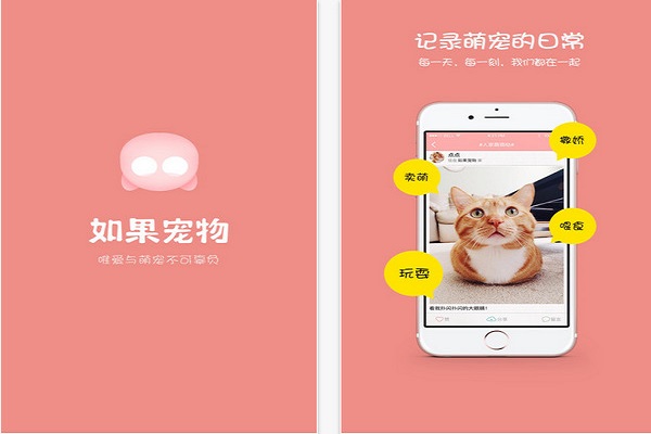 寵物APP開發(fā) 寵物APP開發(fā)