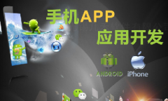 手機app開發(fā)11大步驟、技術人員、常用接口