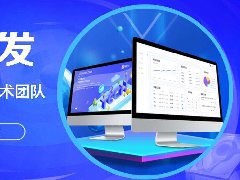 模板和定制商城APP開發(fā)費用需要多少錢？