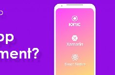 為什么要定制APP開發(fā)，APP開發(fā)定制的好處？